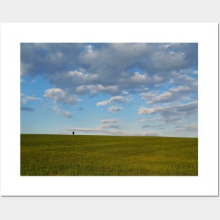 walking a green wheat field Posters and Art